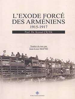 L`exode Force Des Armeniens (1915-1917)
